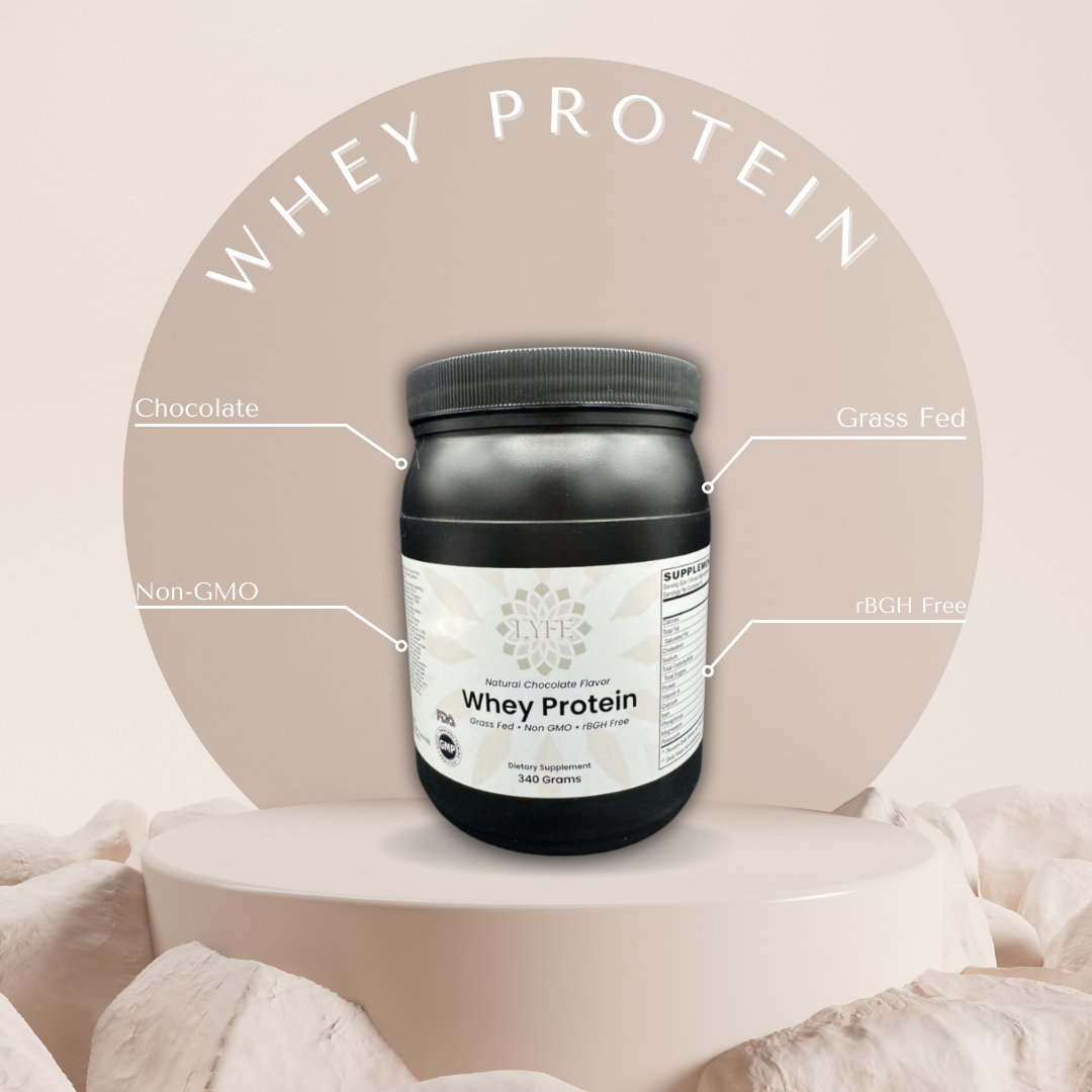 Whey Protein Chocolate